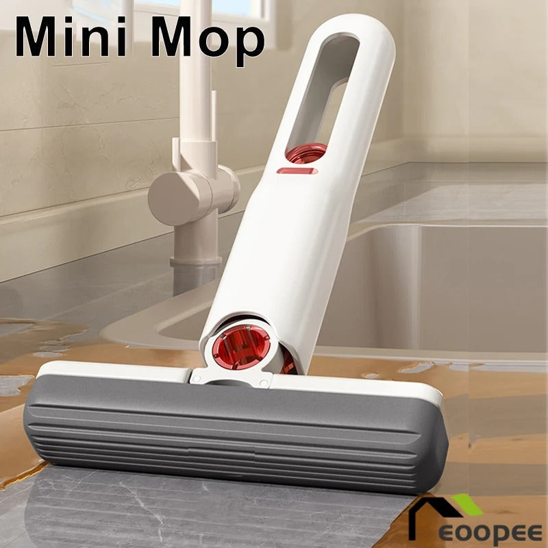 MiniWashPro